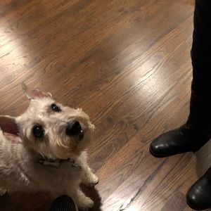 Meet your Posher, Jonathan